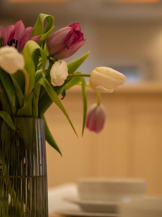 Análipsis Aura Elegant Apartment Near Garitsa Bay מראה חיצוני תמונה